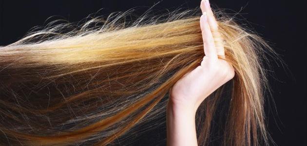 كيفية التخلص من تقصف الشعر نهائياً